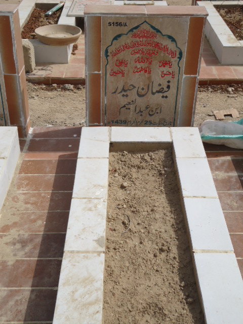 15156 – Faizan Haider