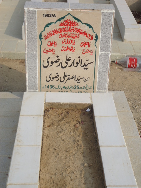 11902 – Syed Anwaar Ali Rizvi