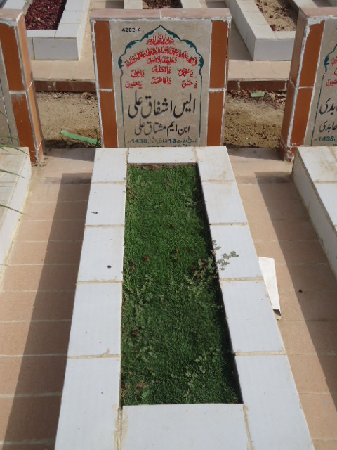 14202 – S Ashfaq Ali