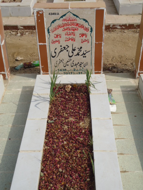 14349 – Syed Muhammad Ali Jaffery