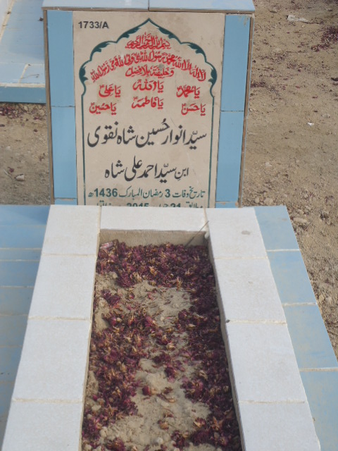 11733 – Syed Anwaar Hussain Shah Naqvi