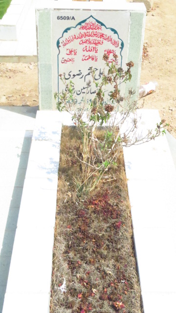 16509 – Syed Ali Hasham Rizvi