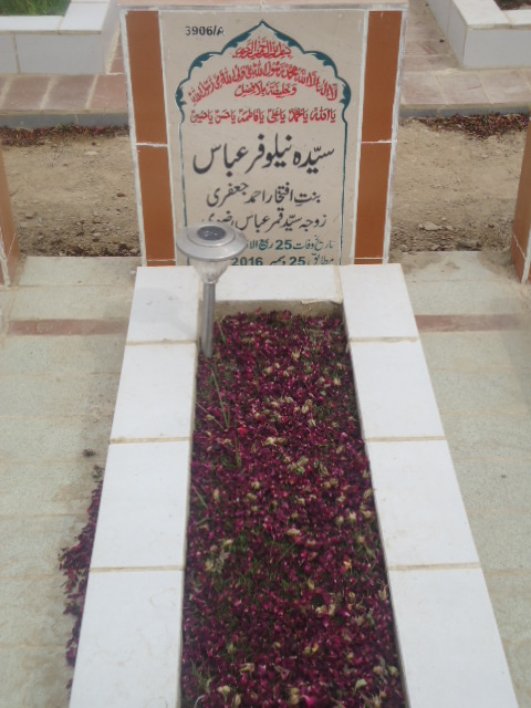 13906 – Syeda Nelofer Abbas