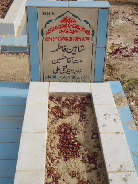 11593 – Shaheen Fatima