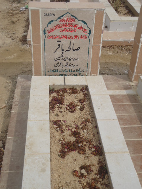 13860 – Salah Baqar
