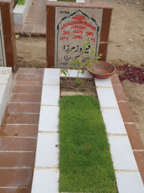 13379 – Feroz Mirza