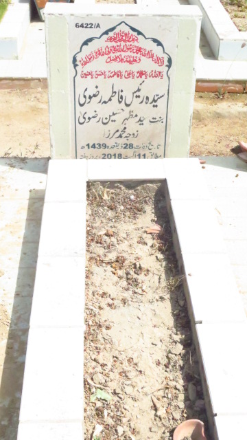 16422 – Syda Raees Fatima Rizvi