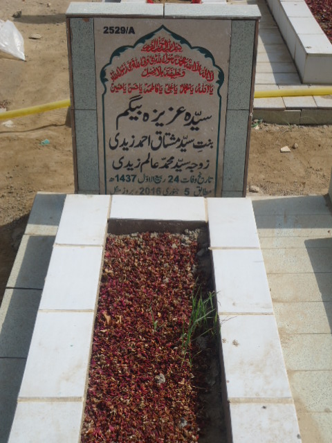 12529 – Syeda Aziza Begum