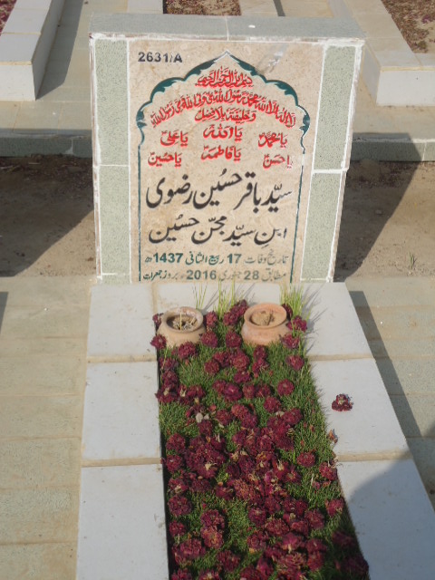 12631 – Syed Baqar Hussain Rizvi