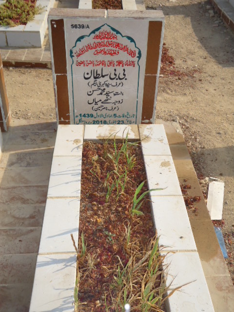 15639 – Bibi Sultan
