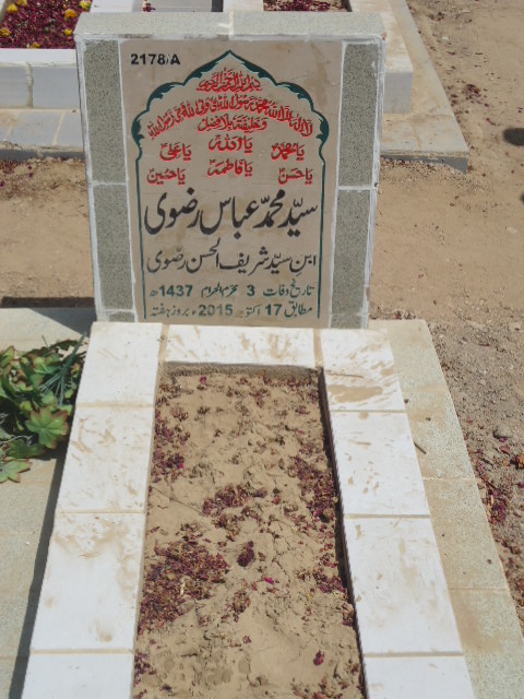 12178 – Syed Muhammad Abbas  Rizvi