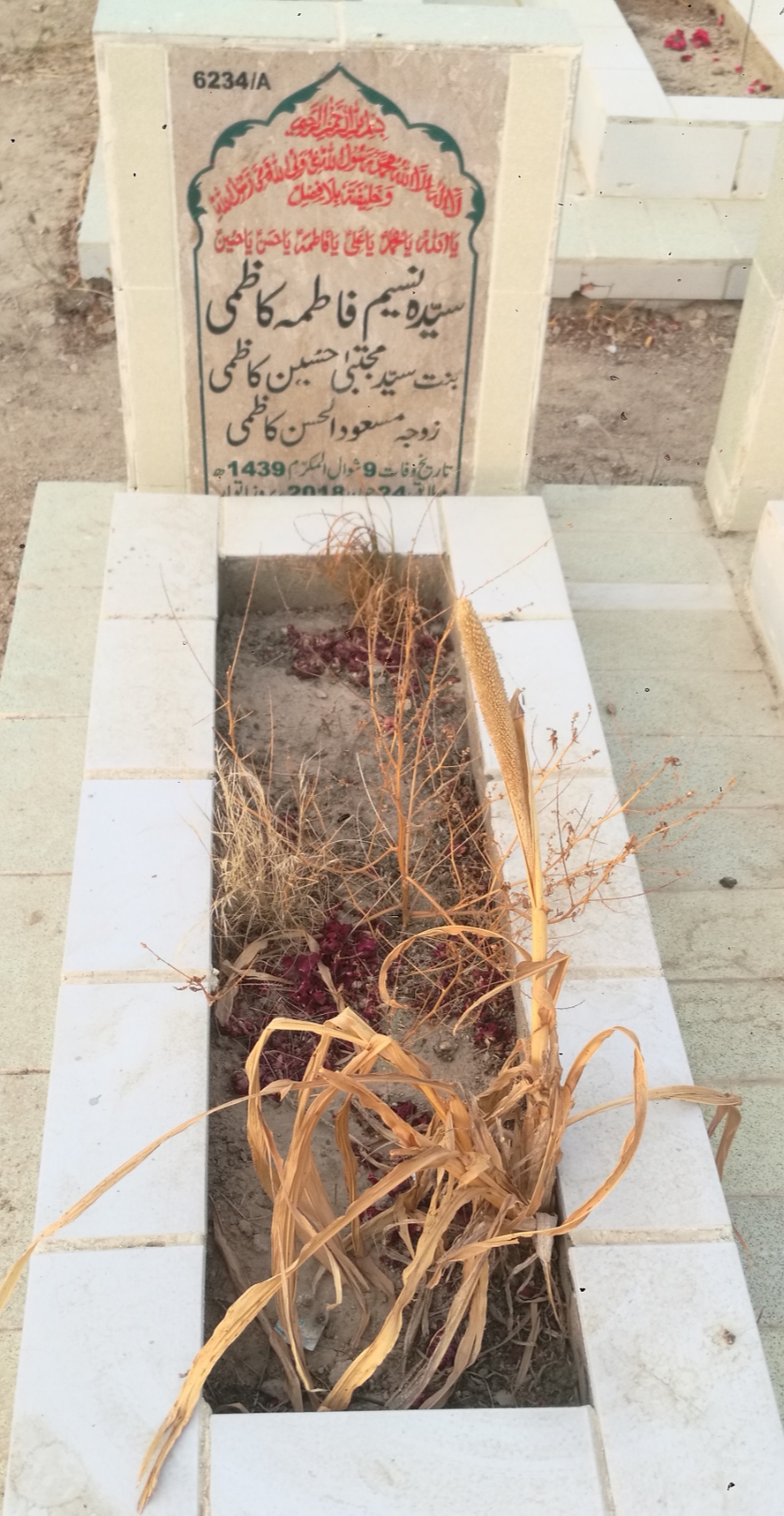 16234 – Syeda Naseem Fatima Kazmi