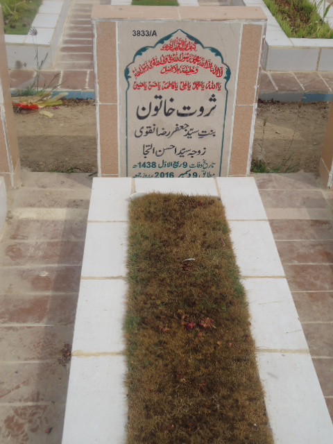 13833 – Sarwat Khatoon