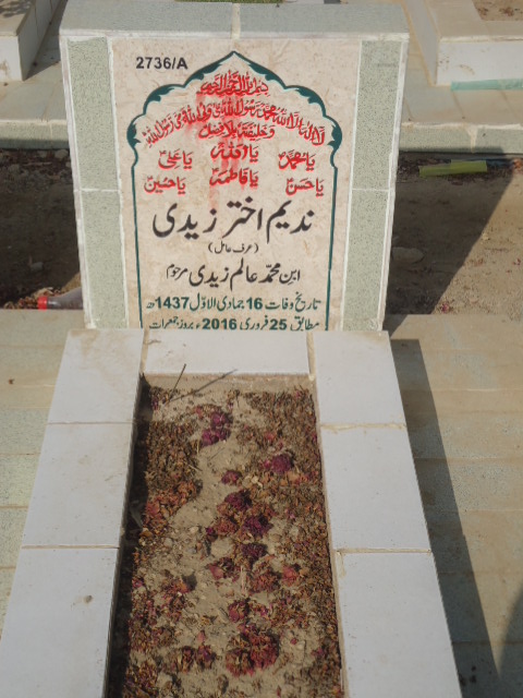 12736 – Nadeem Akhtar Zaidi