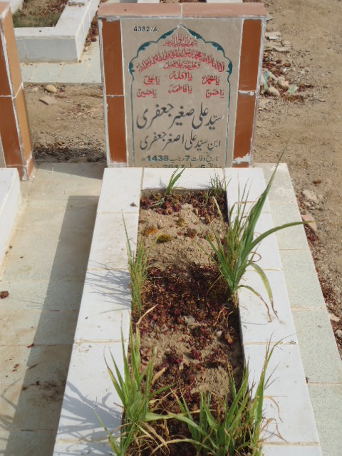 14382 – Syed Ali Sagheer Jaffery