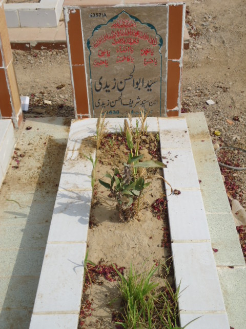 14357 – Syed Abul Hassan Zaidi