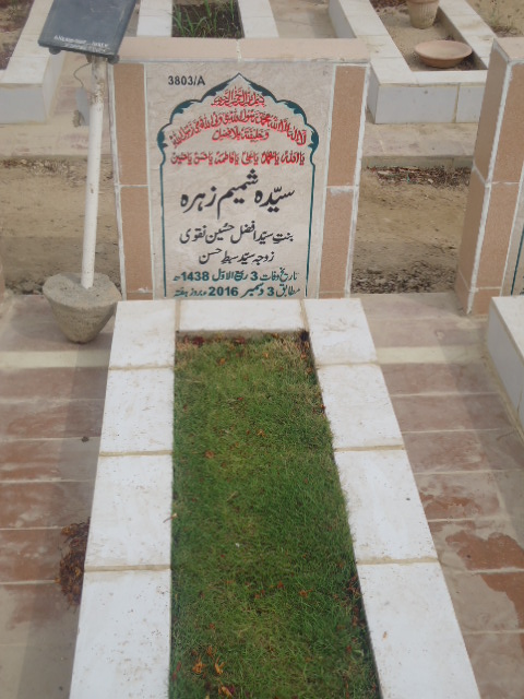 13803 – Syeda Shamim Zehra