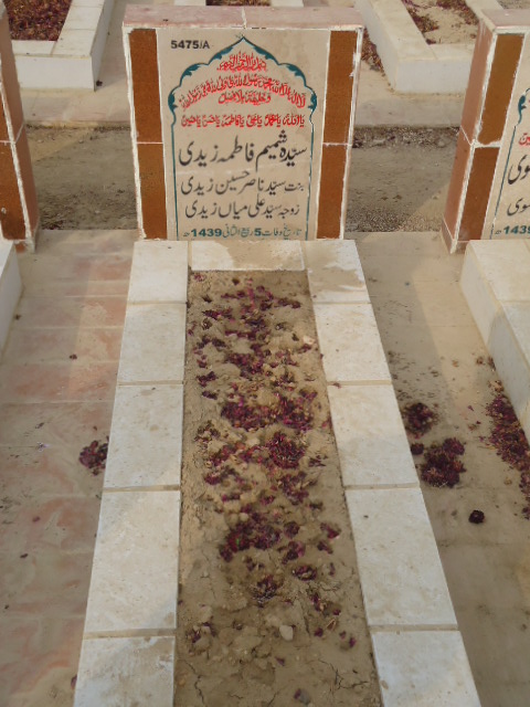 15475 – Syeda Shamim Fatima Zaidi