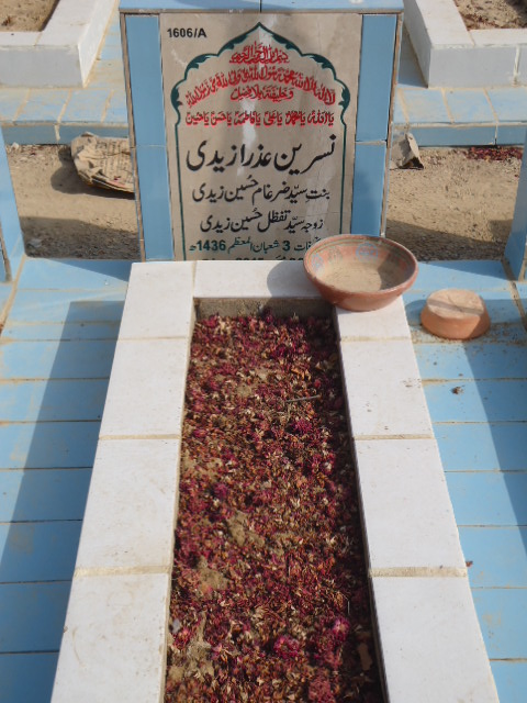 11606 – NAsreen Azra Zaidi