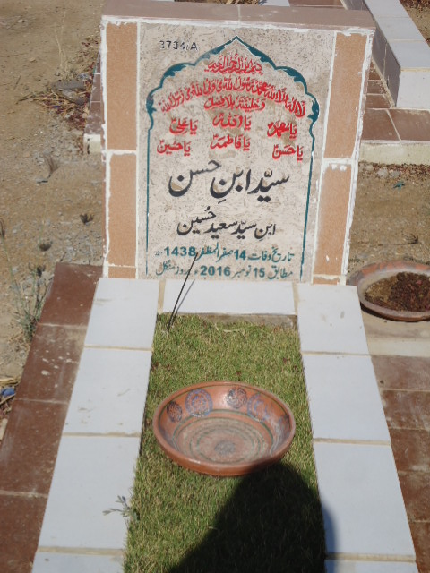 13734 – Syed Ibne Hassan