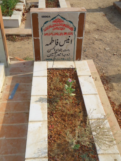 15806 – Anees Fatima
