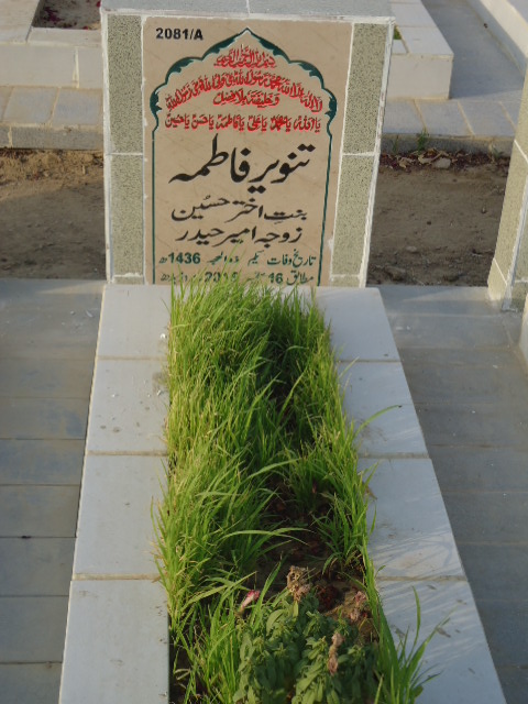 12081 – Tanveer Fatima