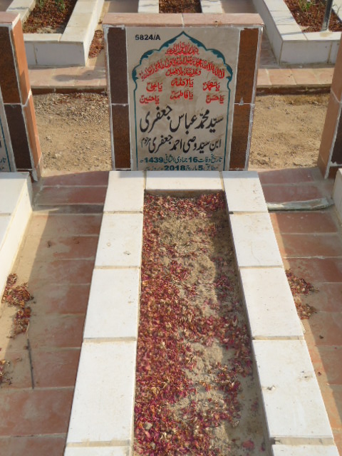 15824 – Syed Muhammad Abbas Jaffery