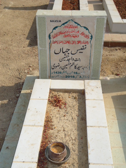 16035 – Nafees Jahan