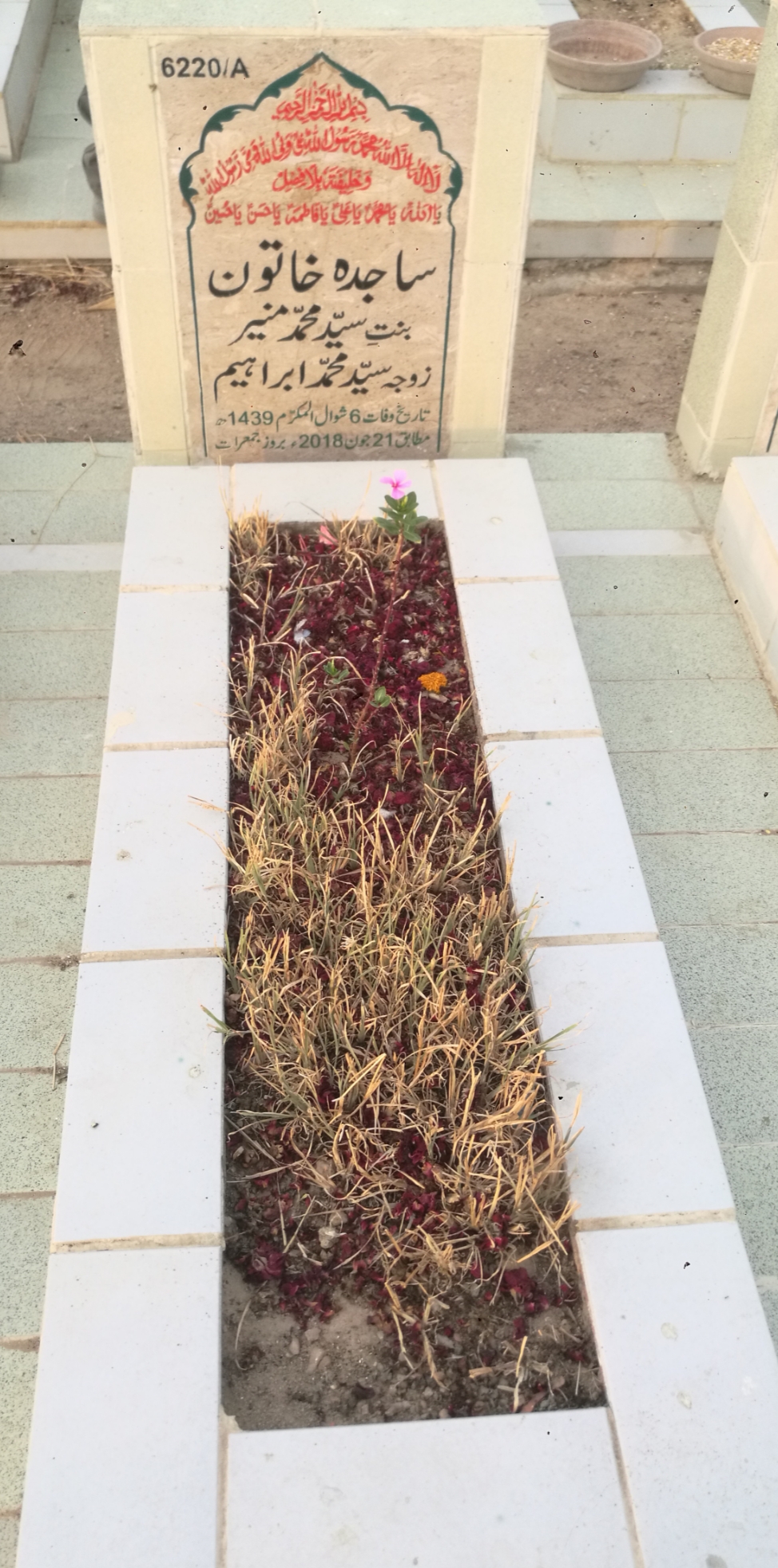 16220 – Sajida Khatoon