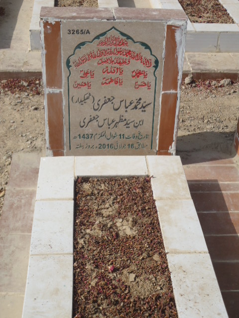 13265 – Syed Muhammad Abbas Jaffery