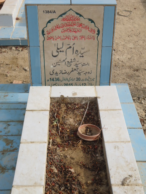 11384 – Syeda Ummay Laila