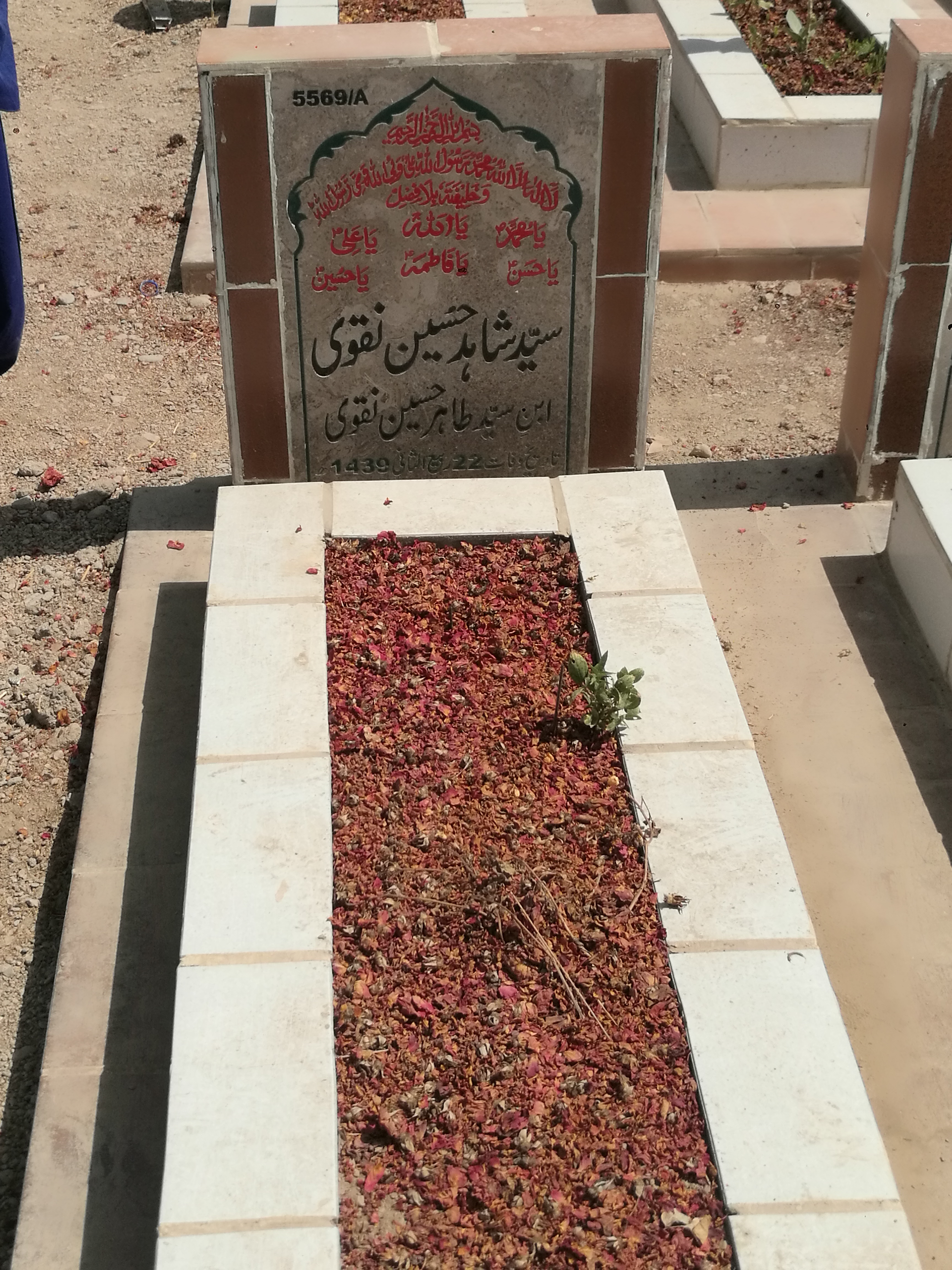 15569 – Syed Shahid Hussain Naqvi