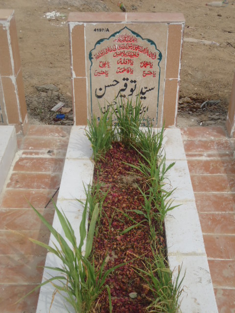14197 – Syed Touqeer Hassan