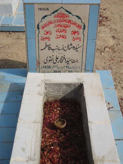 11633 – Syeda Shan A Zainab Fatima