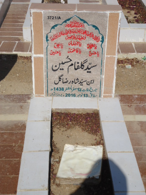 13721 – Syed Gulfam Hussain
