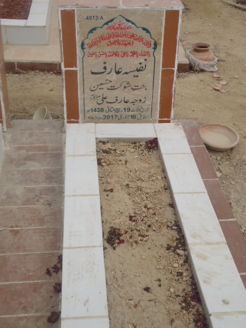 14013 – Nafeesa Arif