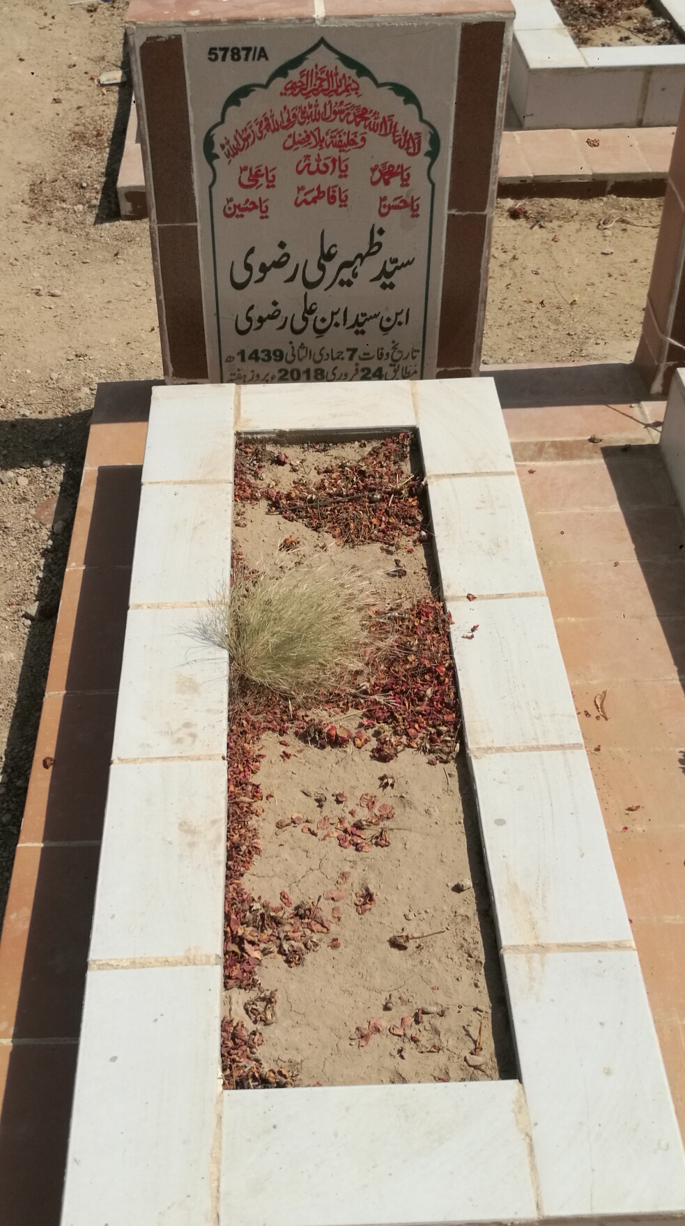 15787 – Syed Zaheer Ali Rizvi