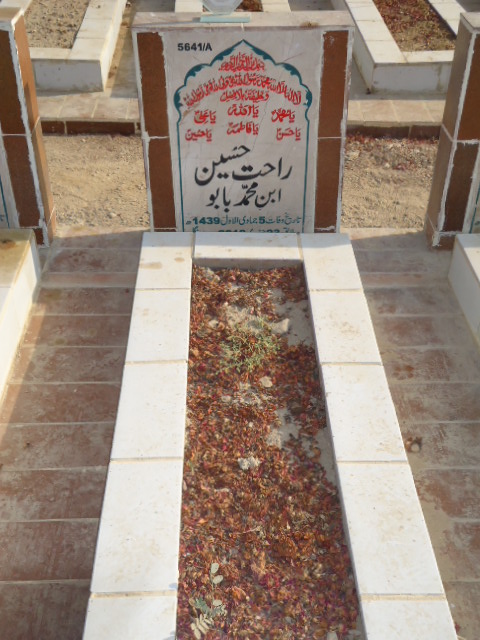 15641 – Rahat Hussain