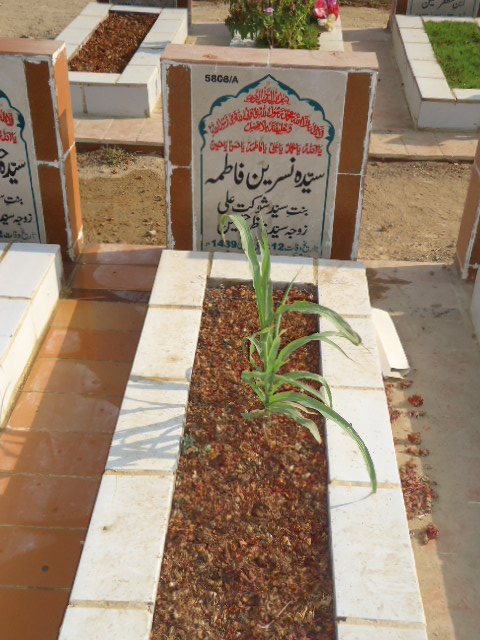 15808 – Syeda Nasreen Fatima