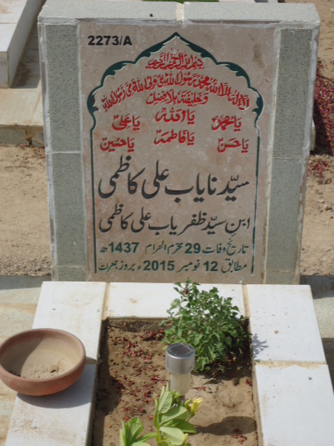 12273 – Syed Nayab Ali Kazmi