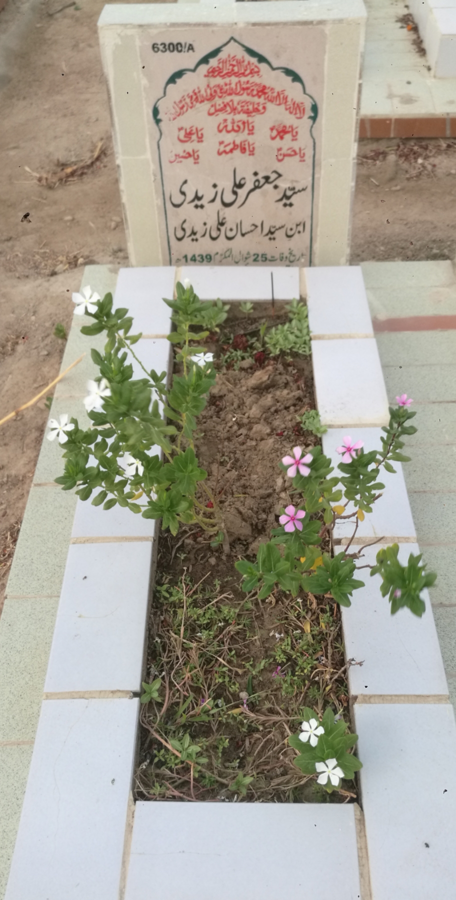 16300 – Syed Jaffar Ali Zaidi