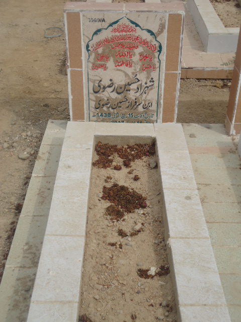 13989 – Shahzad Hussain Rizvi
