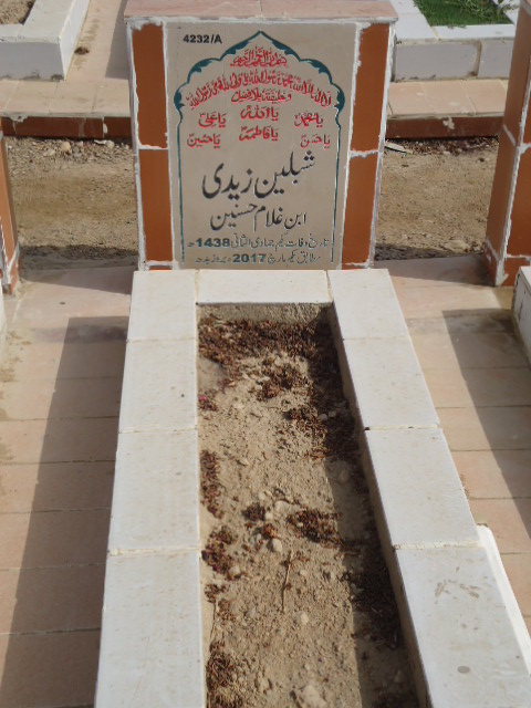 14232 – Shableen Zaidi