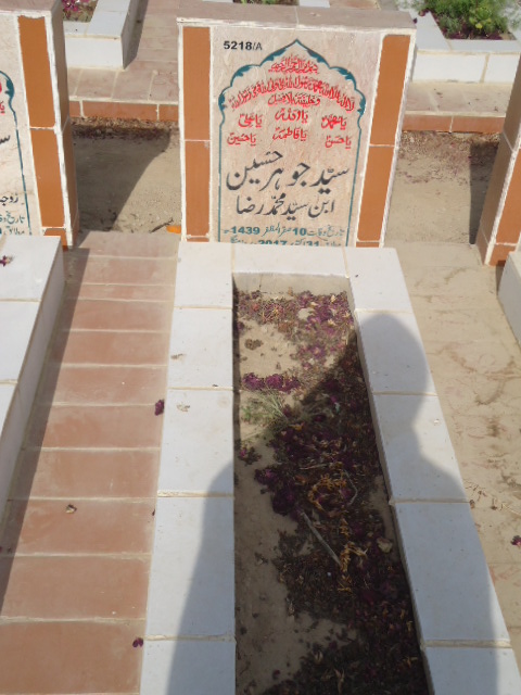 15218 – Syed Johar Hussain