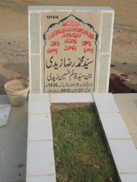 11816 – Syed Muhammad Raza Zaidi