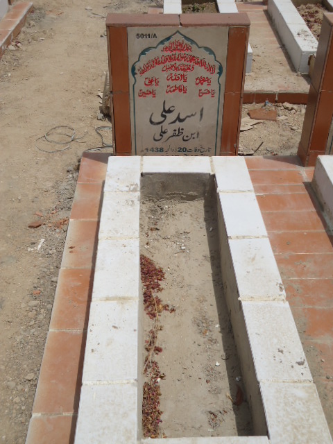 15011 – Asad Ali