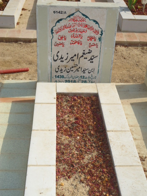 16142 – Syed Zaigham Ameer Zaidi