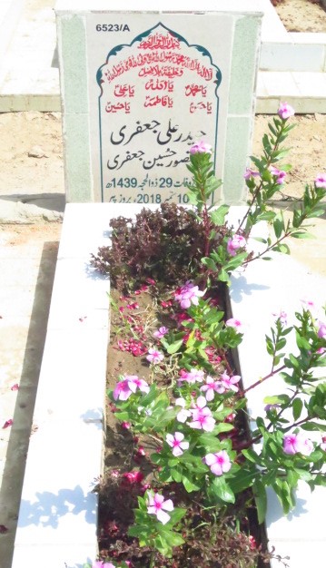 16523 – Haider Ali Jaffery
