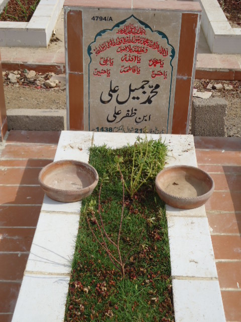 14794 – Muhammad Jameel Ali