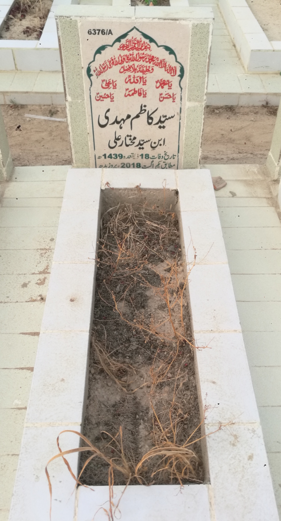 16376 – Syed Kazim Mehdi